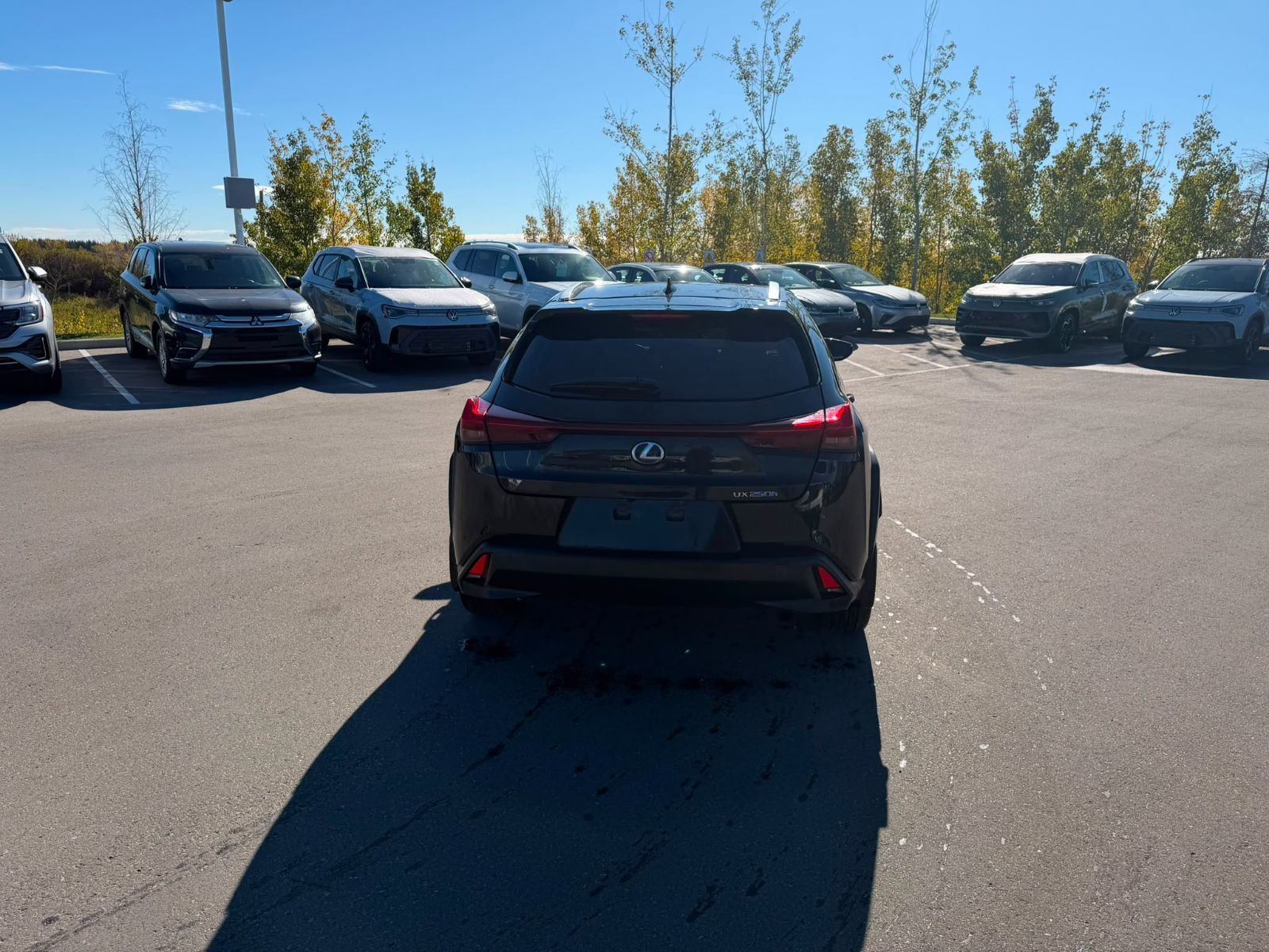 Photo 2021 Lexus UX UX 250h #4