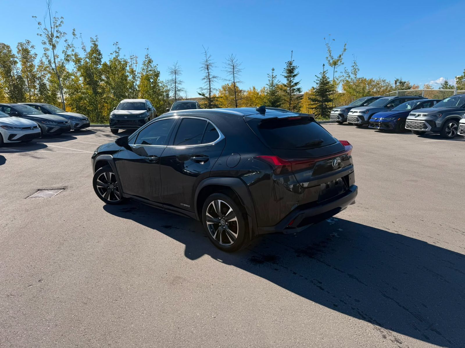 Photo 2021 Lexus UX UX 250h #5