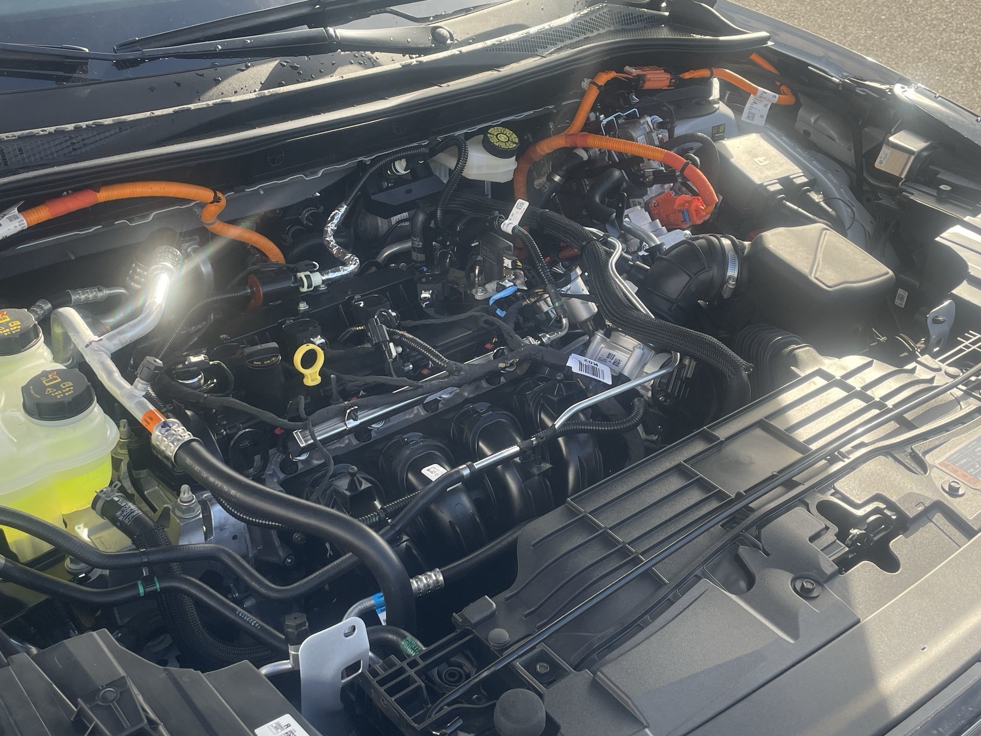 2026 Ford Escape PHEV