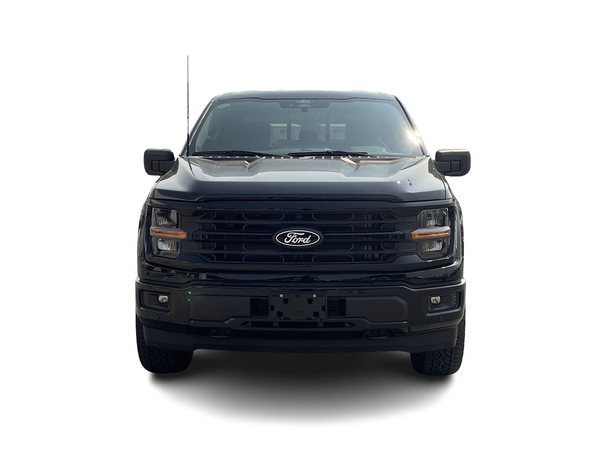 2025 Ford F-150 in Toronto, Ontario
