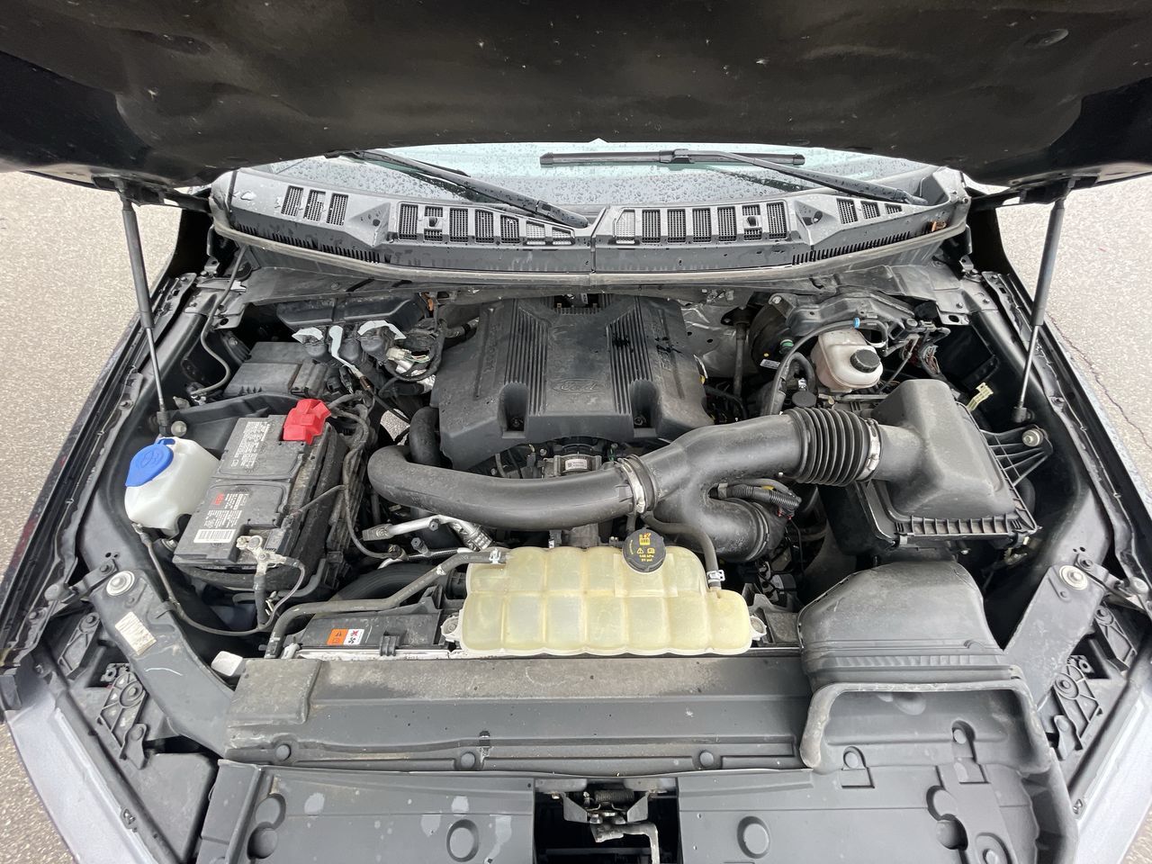 2020 Ford F150 in Toronto, Ontario