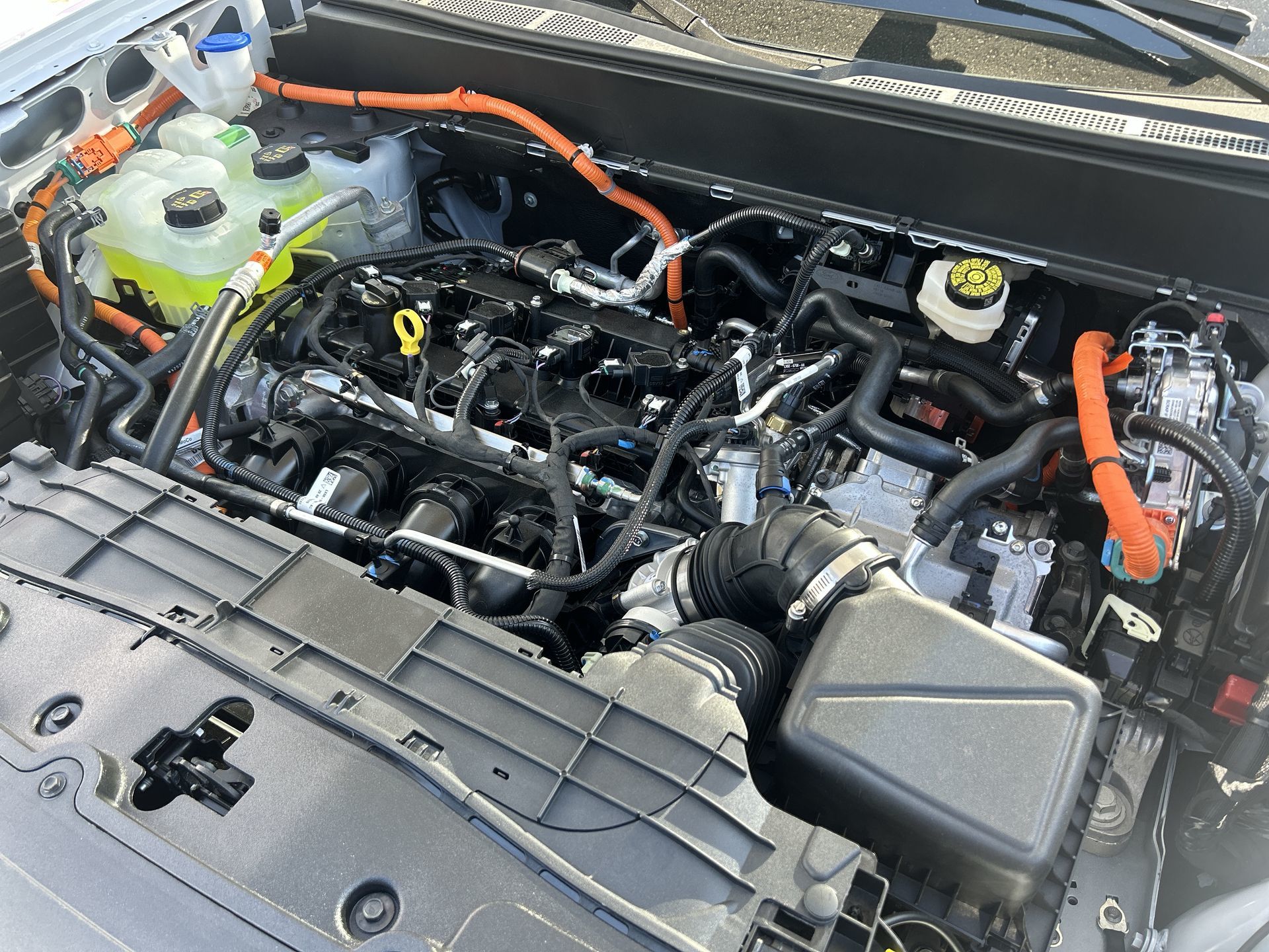 2026 Ford Maverick in Toronto, Ontario