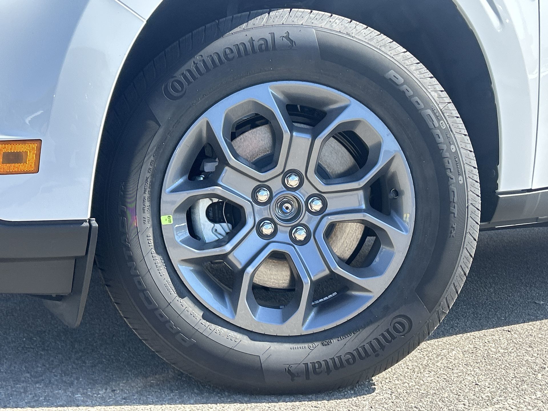 2026 Ford Maverick in Toronto, Ontario