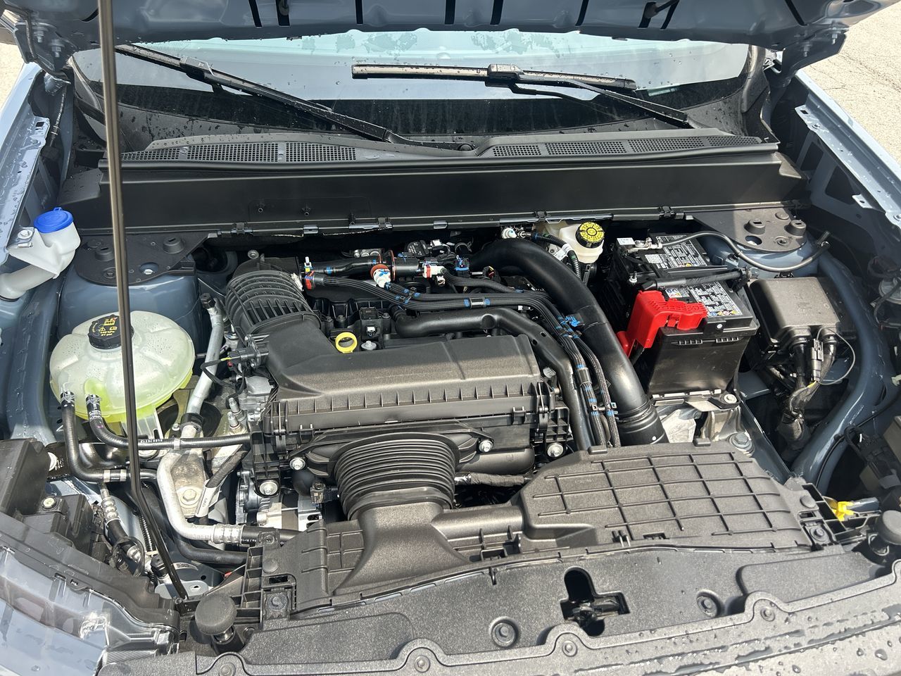 2026 Ford Maverick in Toronto, Ontario