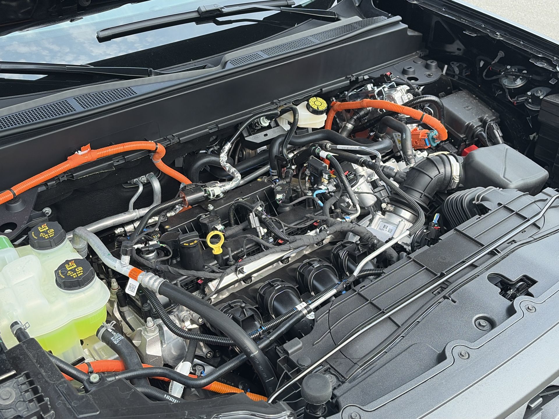 2026 Ford Maverick in Toronto, Ontario