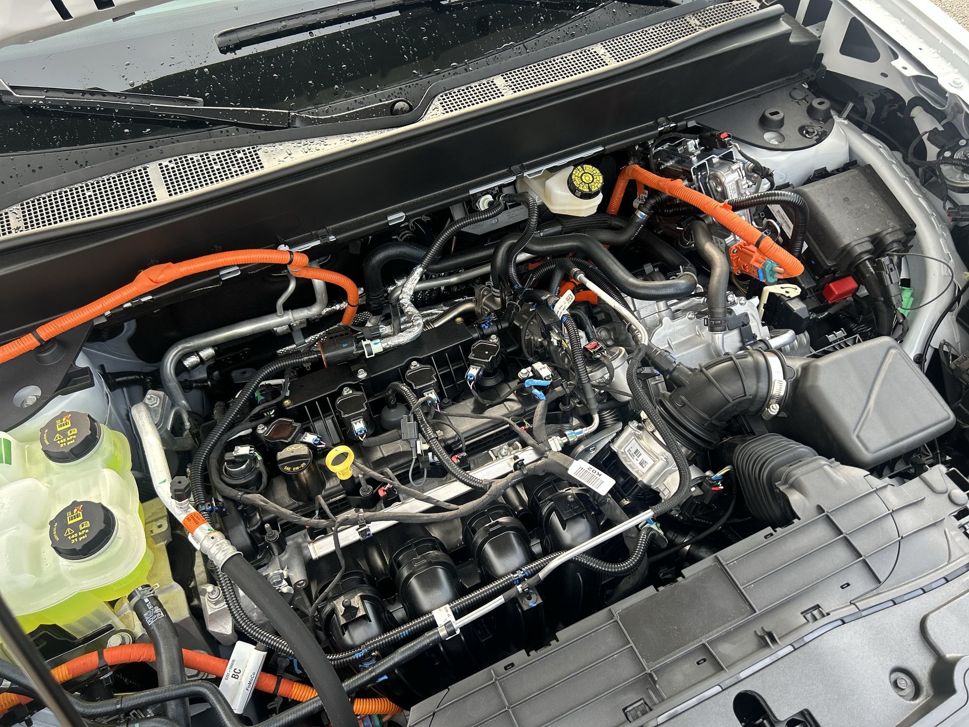 2026 Ford Maverick in Toronto, Ontario