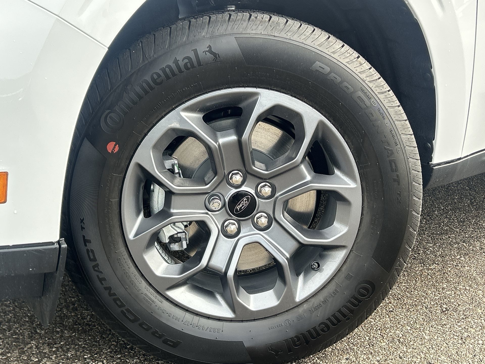 2026 Ford Maverick in Toronto, Ontario