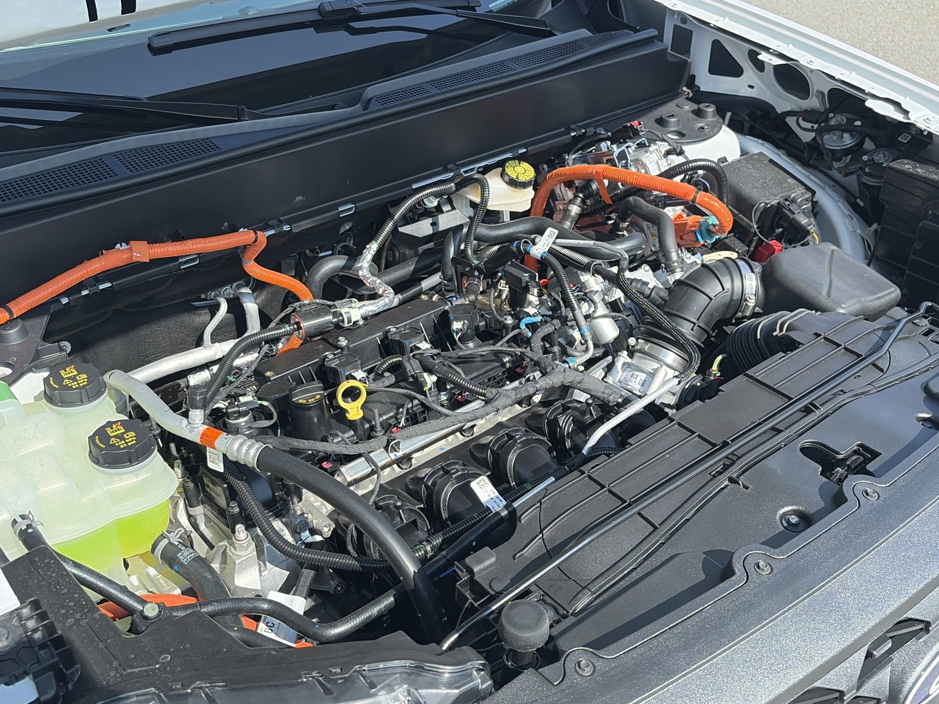 2026 Ford Maverick in Toronto, Ontario
