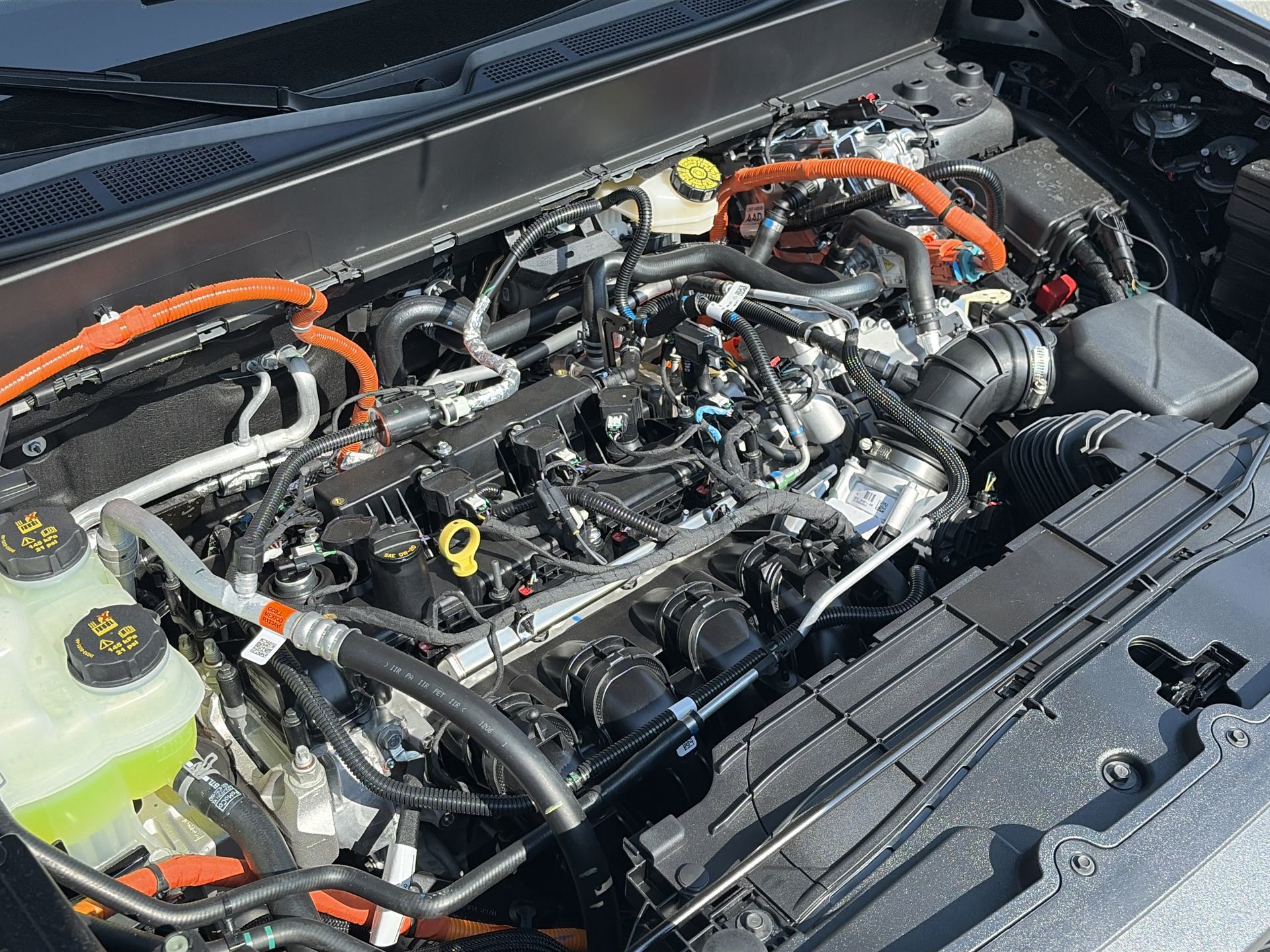 2026 Ford Maverick in Toronto, Ontario