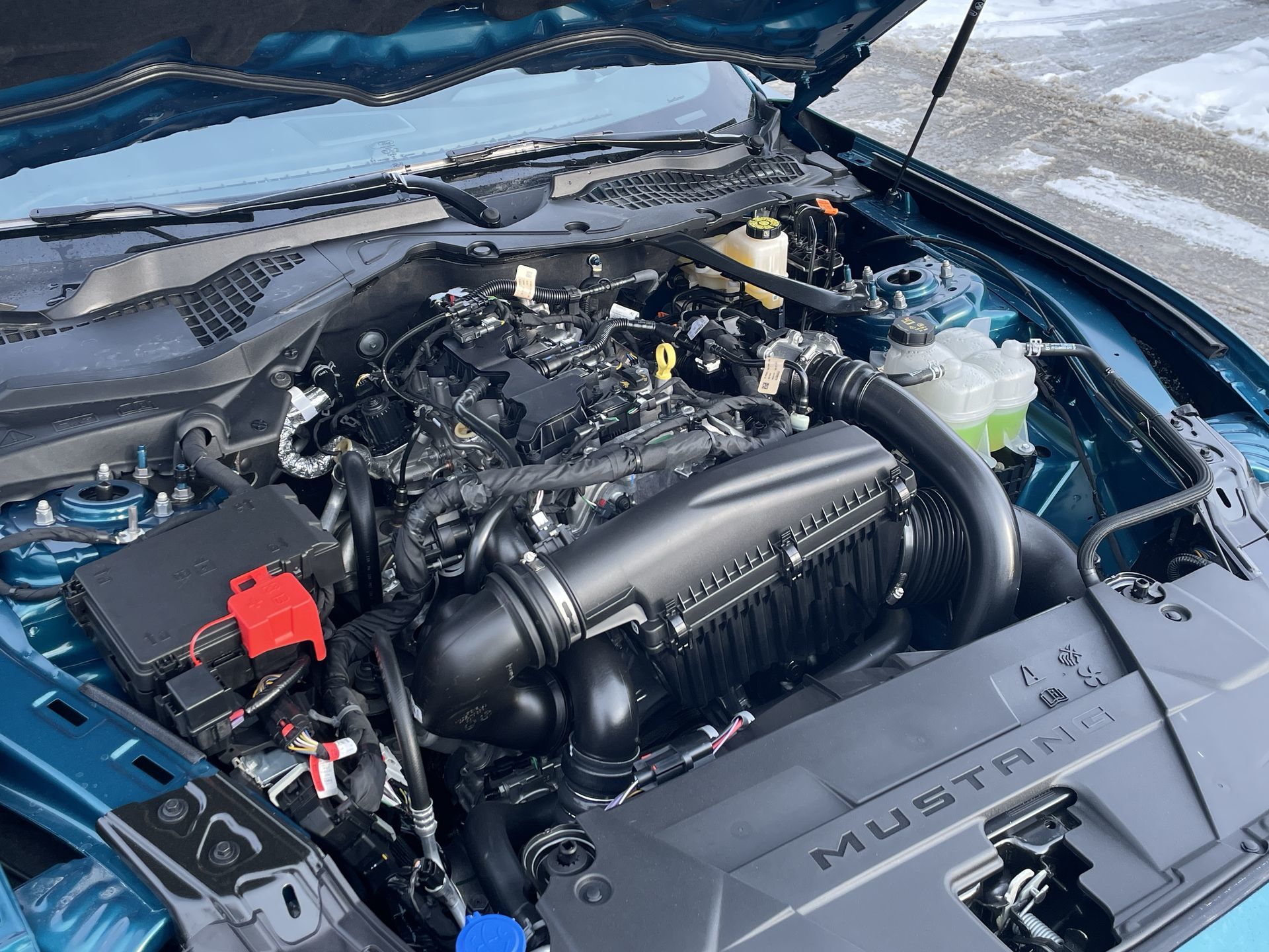 2026 Ford Mustang Fastback