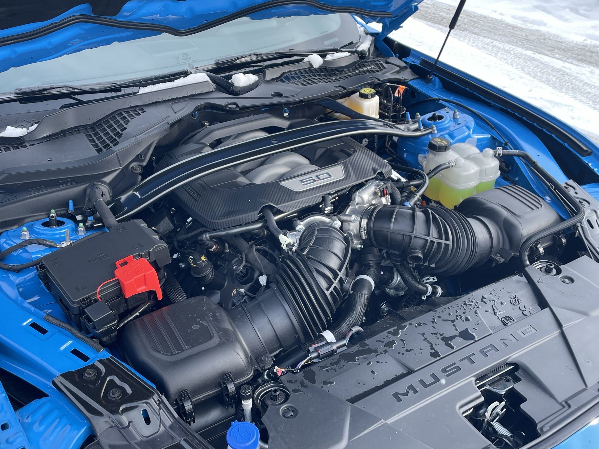 2026 Ford Mustang Fastback