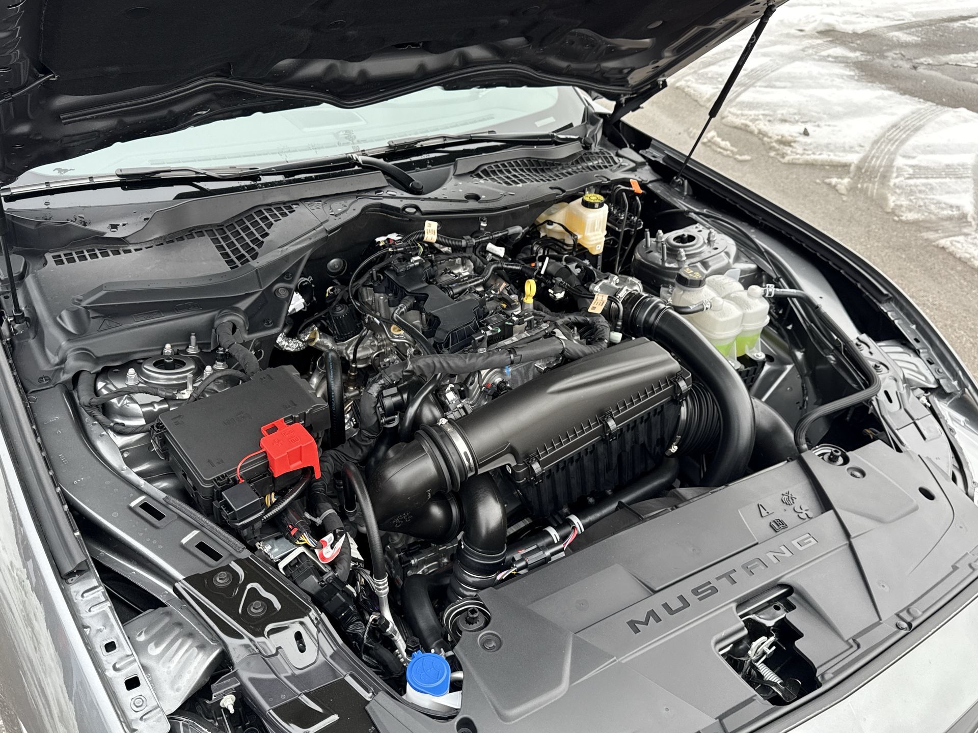 2026 Ford Mustang Fastback