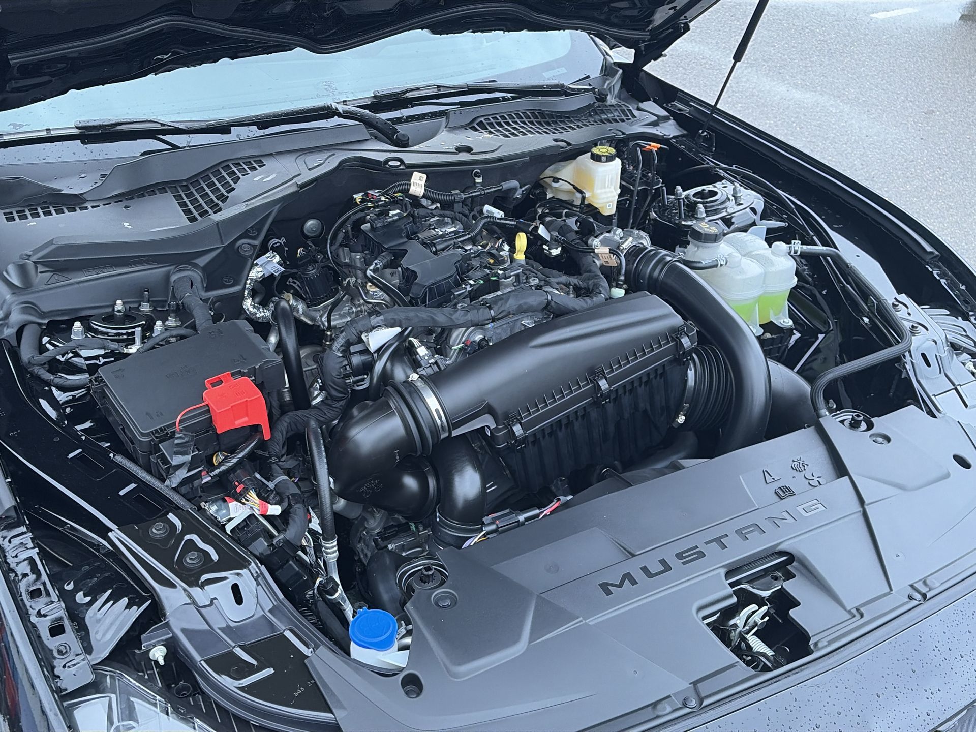 2026 Ford Mustang Fastback