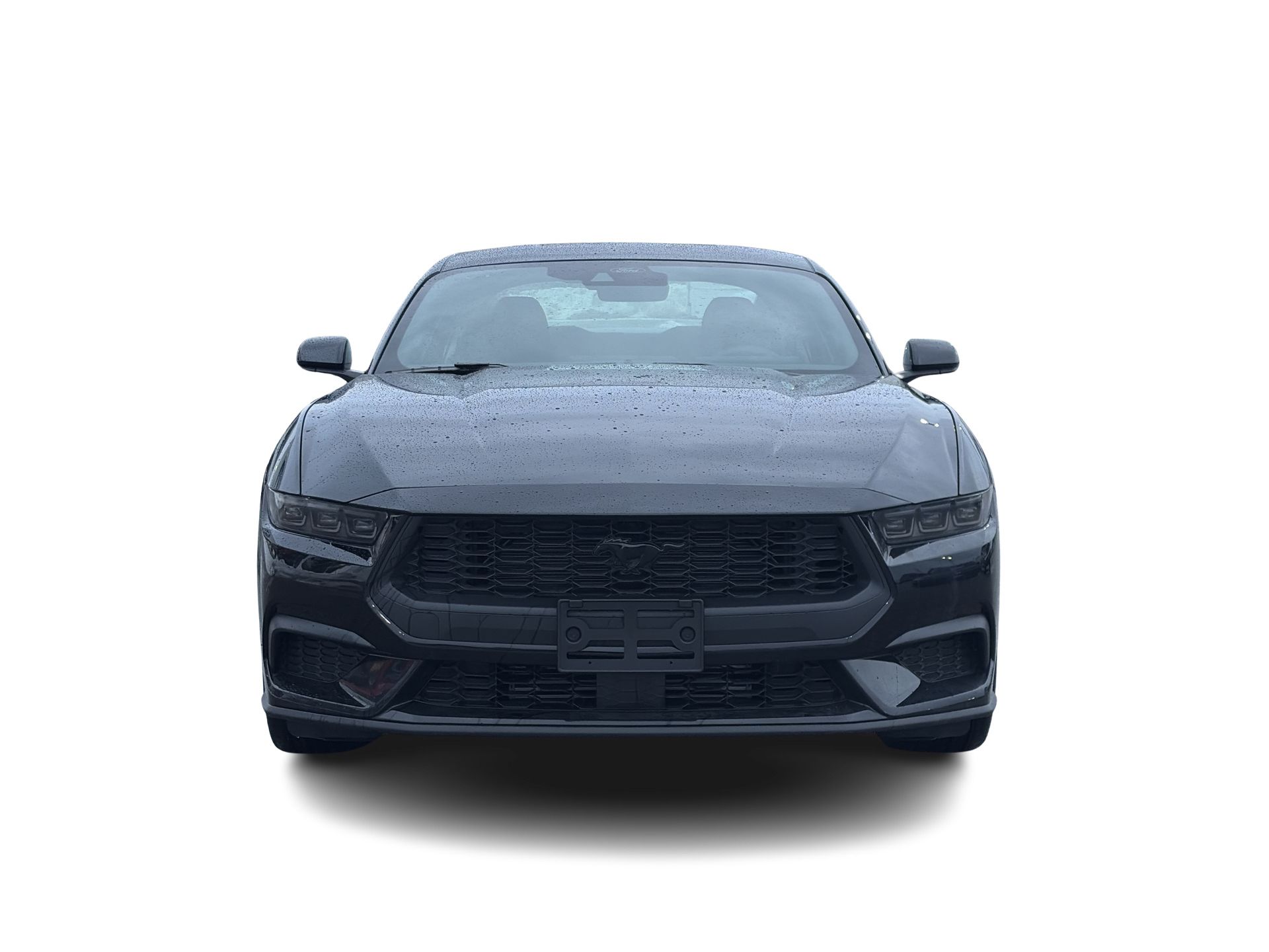 2026 Ford Mustang Fastback