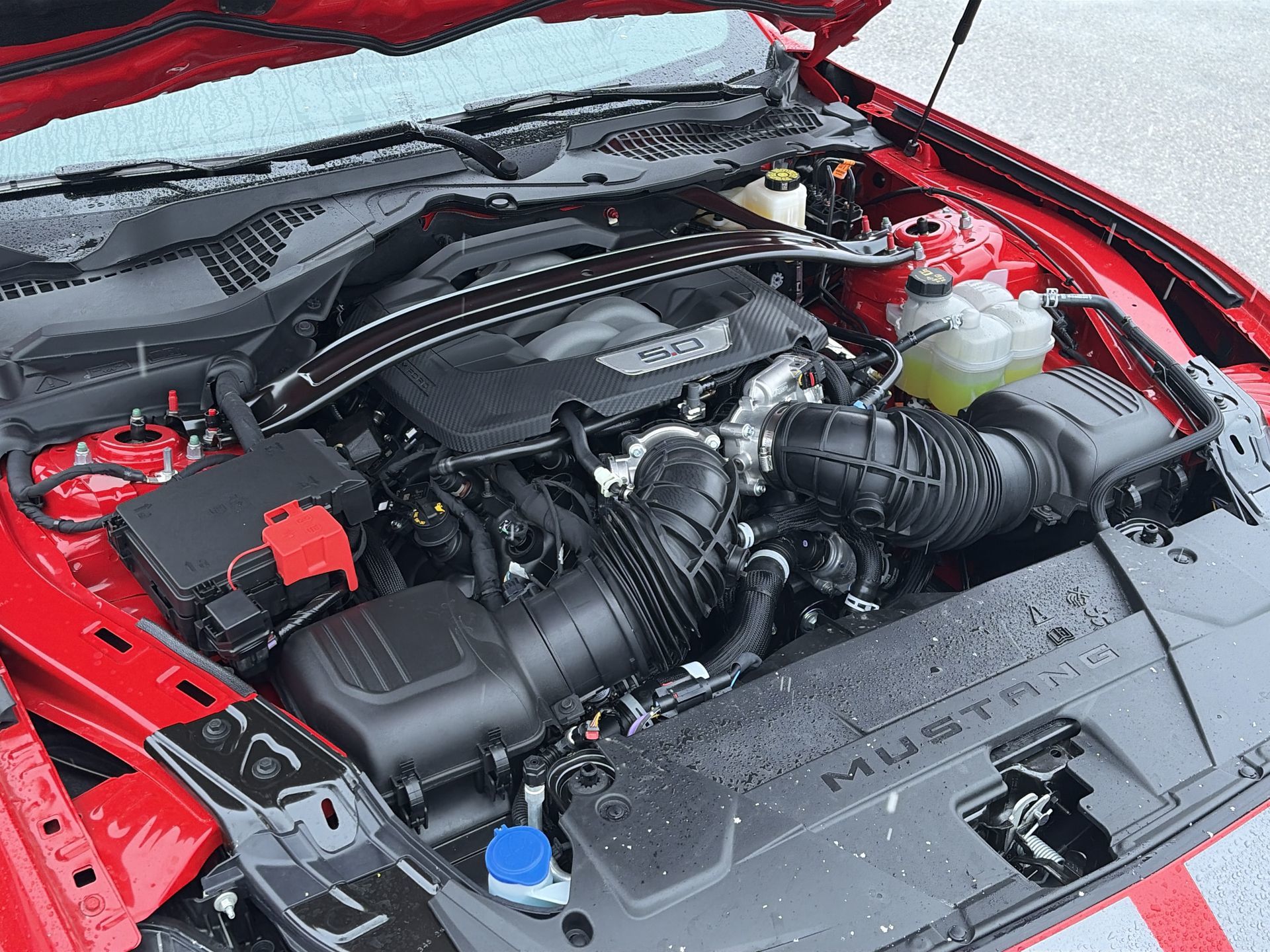 2026 Ford Mustang Fastback in Toronto, Ontario