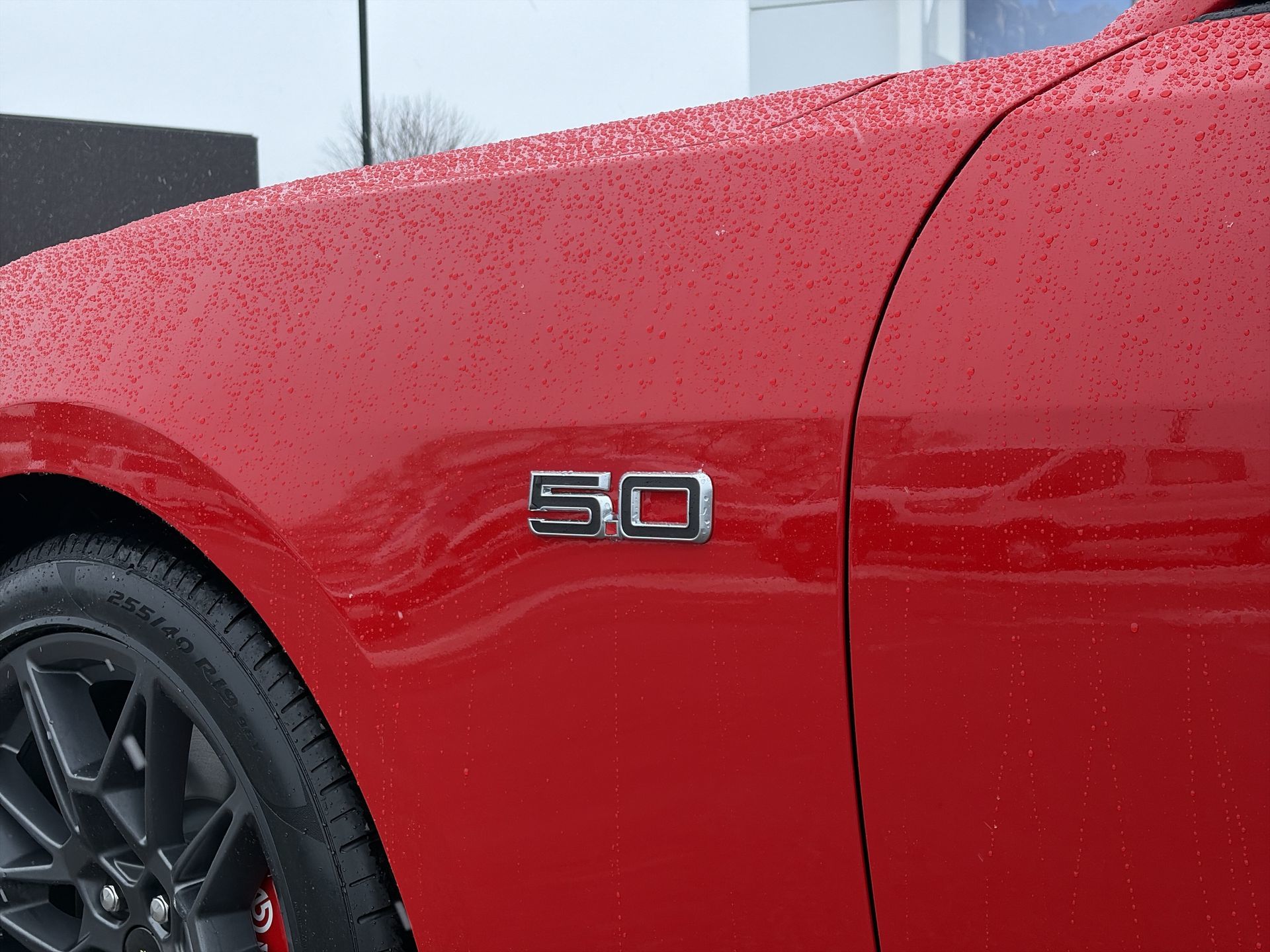 2026 Ford Mustang Fastback in Toronto, Ontario