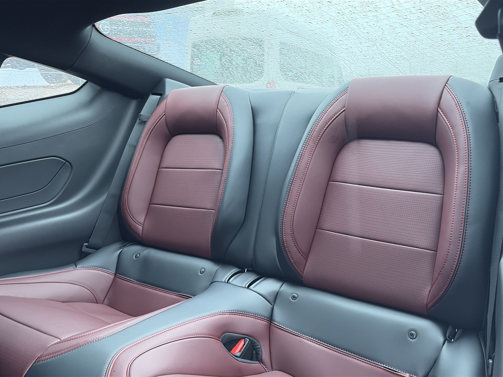 2026 Ford Mustang Fastback in Toronto, Ontario