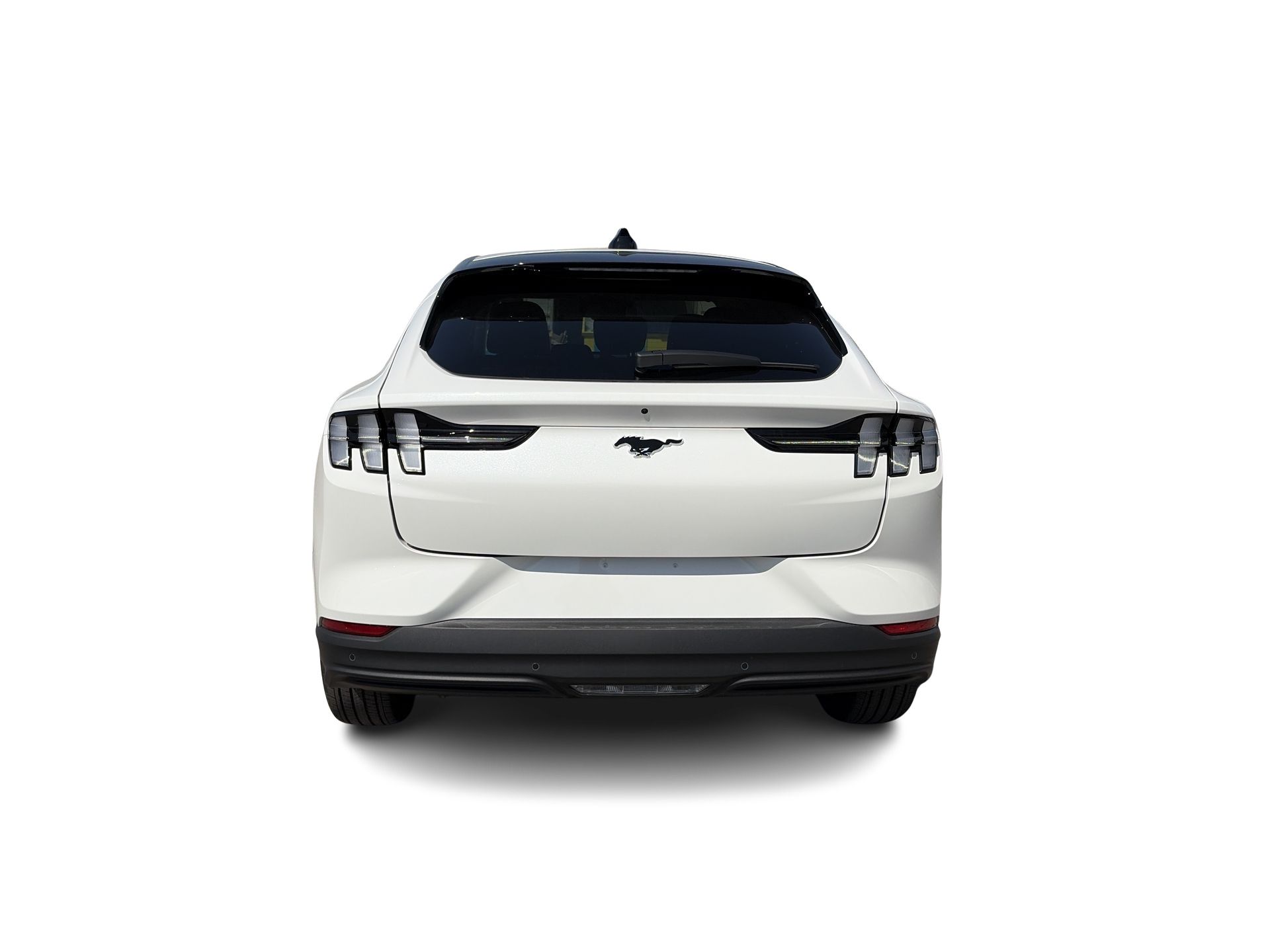 Ford Mustang Mach-E  2026 à Toronto, Ontario