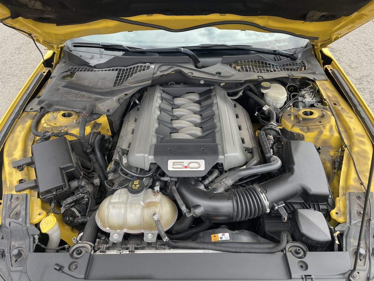 2015 Ford Mustang
