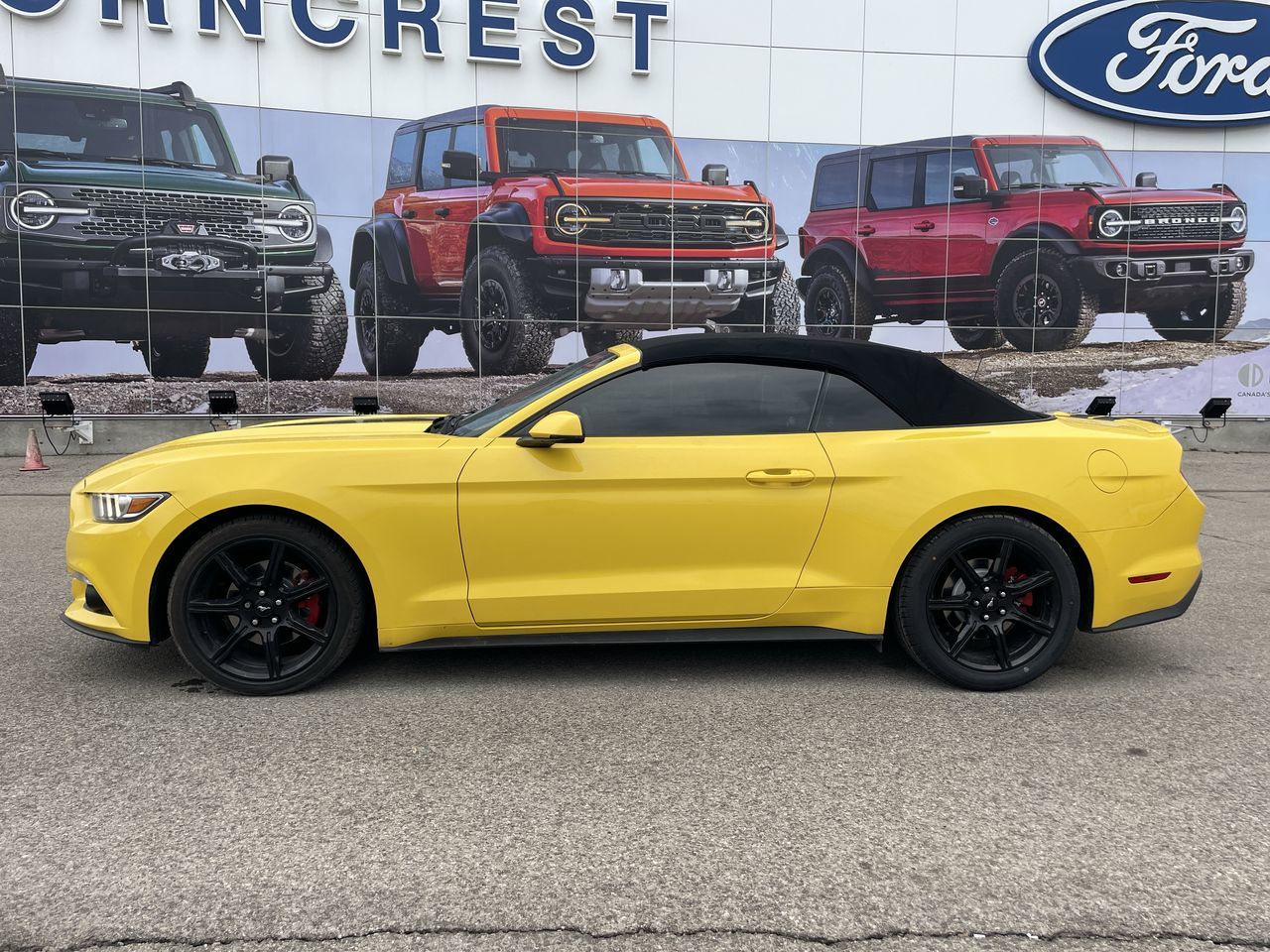 Ford Mustang  2016 à Toronto, Ontario
