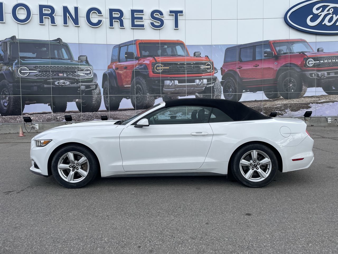 2016 Ford Mustang in Toronto, Ontario