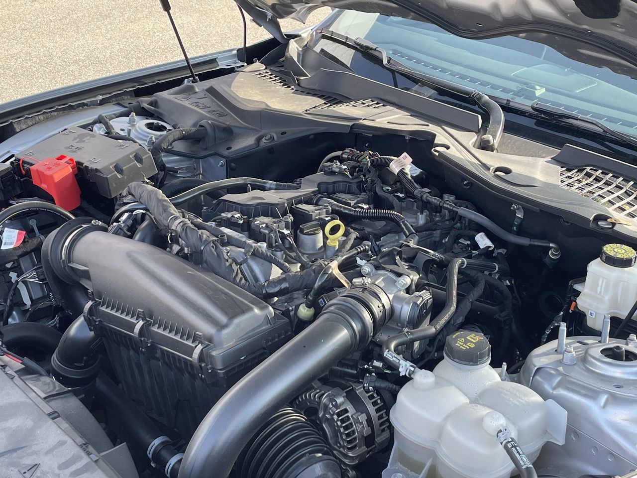 2024 Ford Mustang in Toronto, Ontario