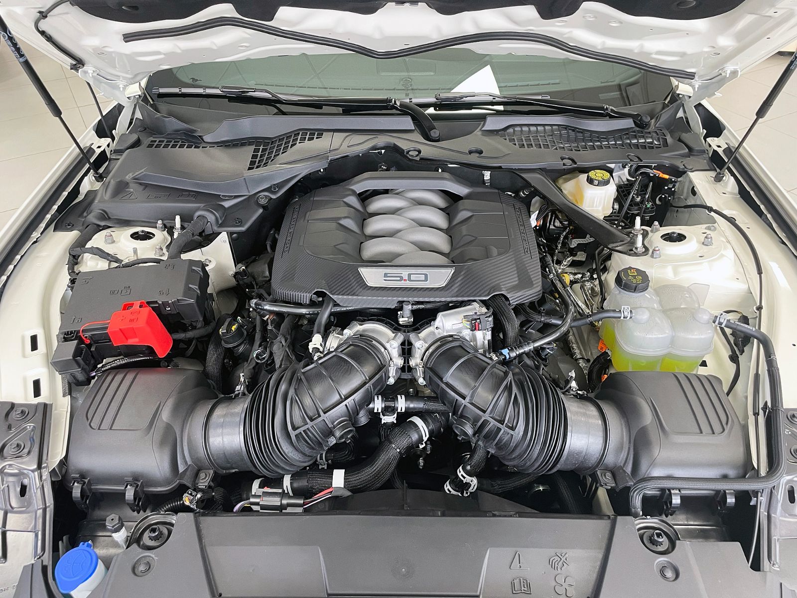 2025 Ford MUSTANG FASTBACK in Toronto, Ontario