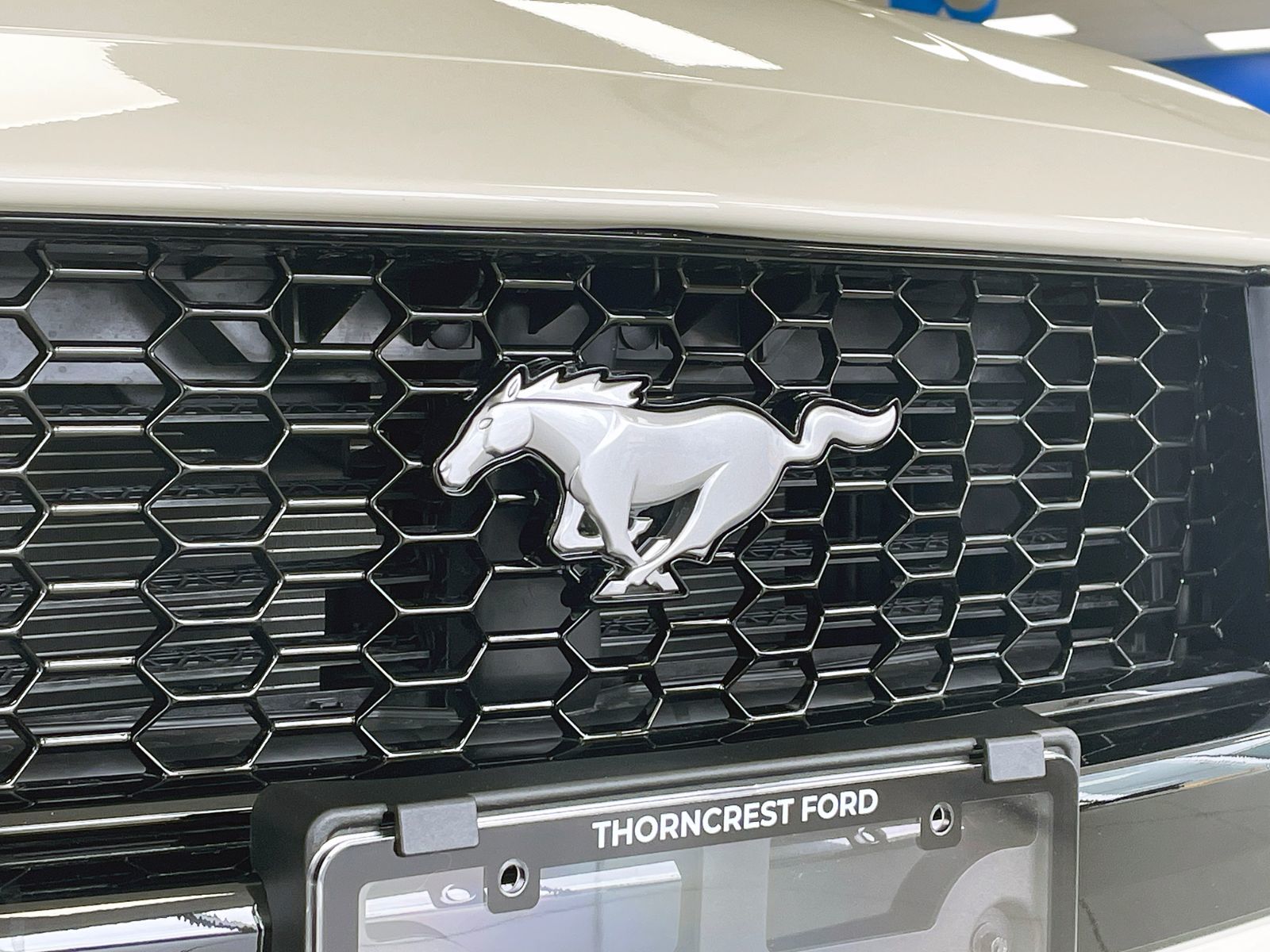 2025 Ford MUSTANG FASTBACK in Toronto, Ontario
