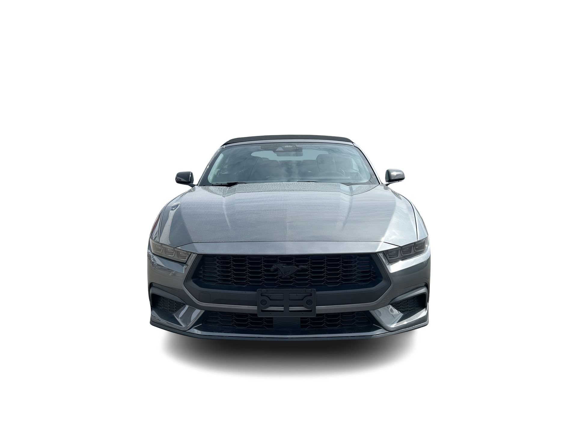 Ford Mustang  2025 à Toronto, Ontario