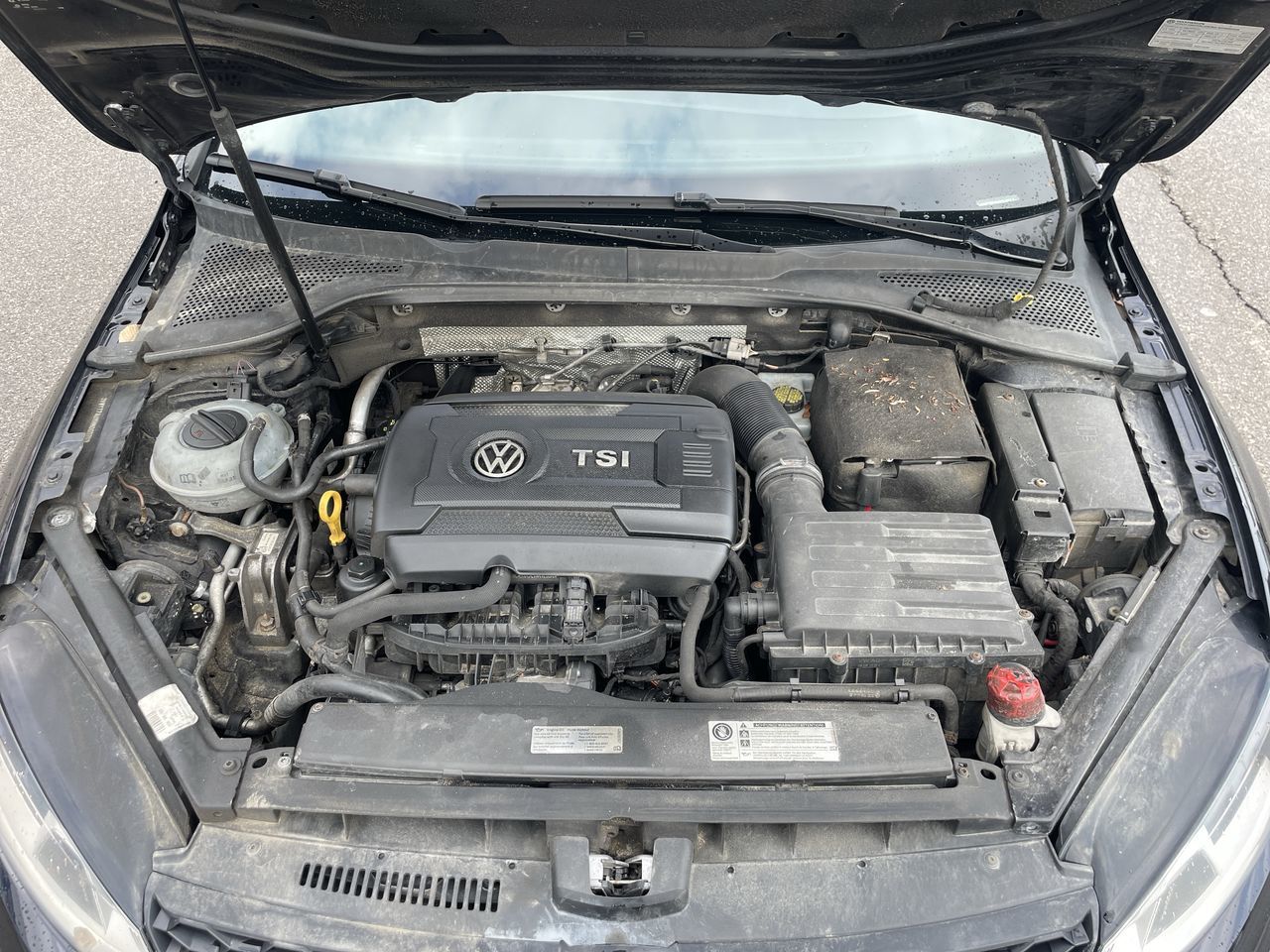 Volkswagen GTI  2017 à Toronto, Ontario