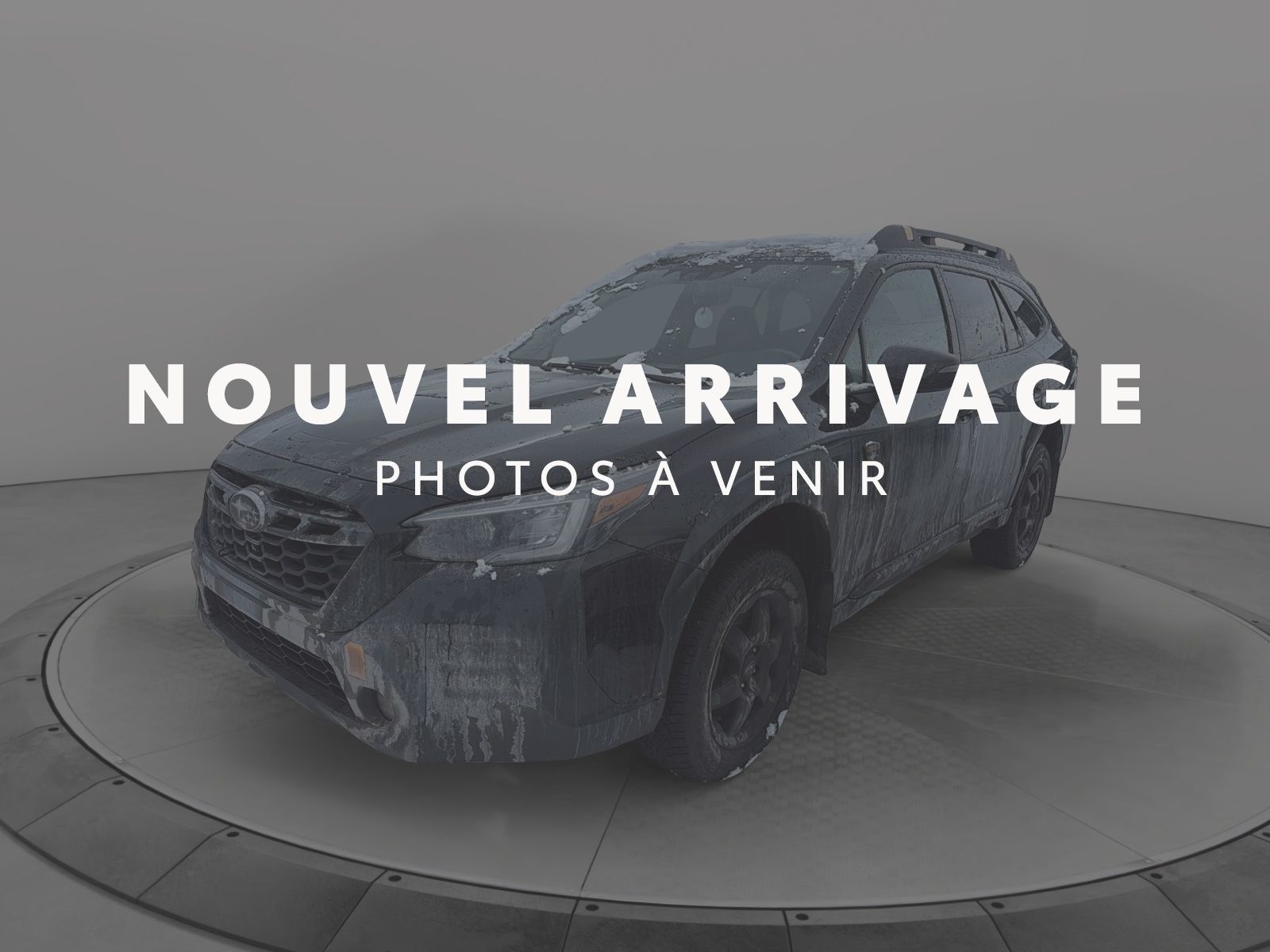 Subaru Outback Wilderness 2023