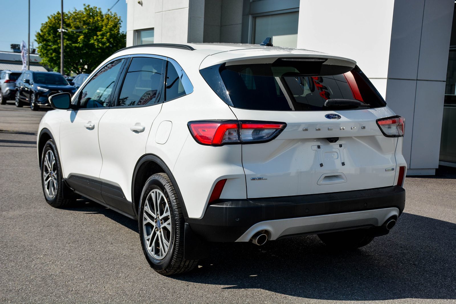Ford Escape SEL 2020 — photo 5