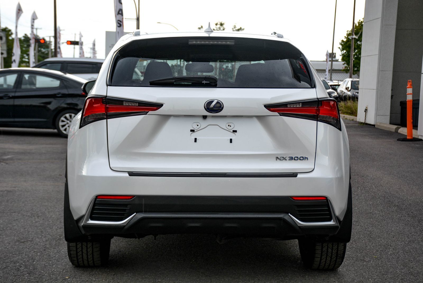 Lexus NX NX 300h 2021 — photo 6