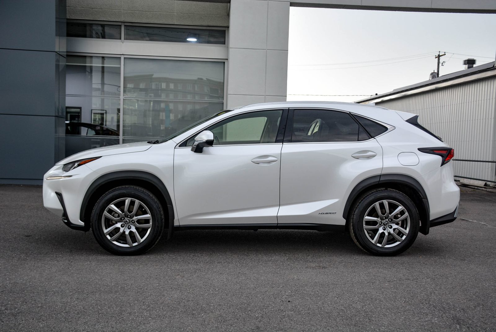 Lexus NX NX 300h 2021 — photo 3