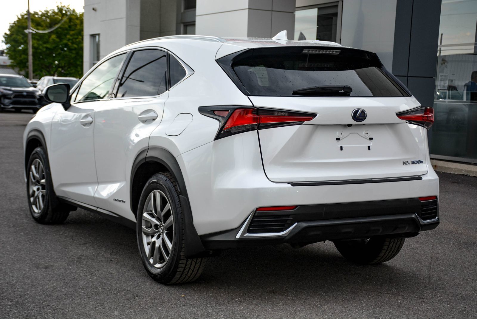 Lexus NX NX 300h 2021 — photo 5