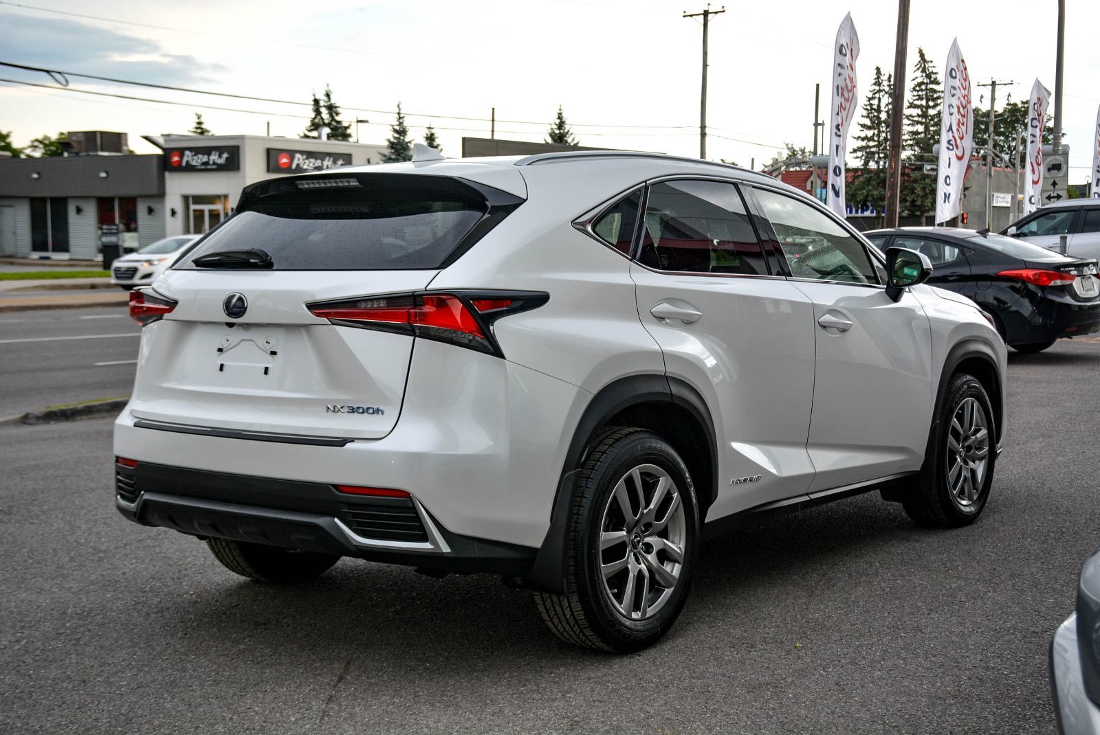 Lexus NX NX 300h 2021 — photo 8