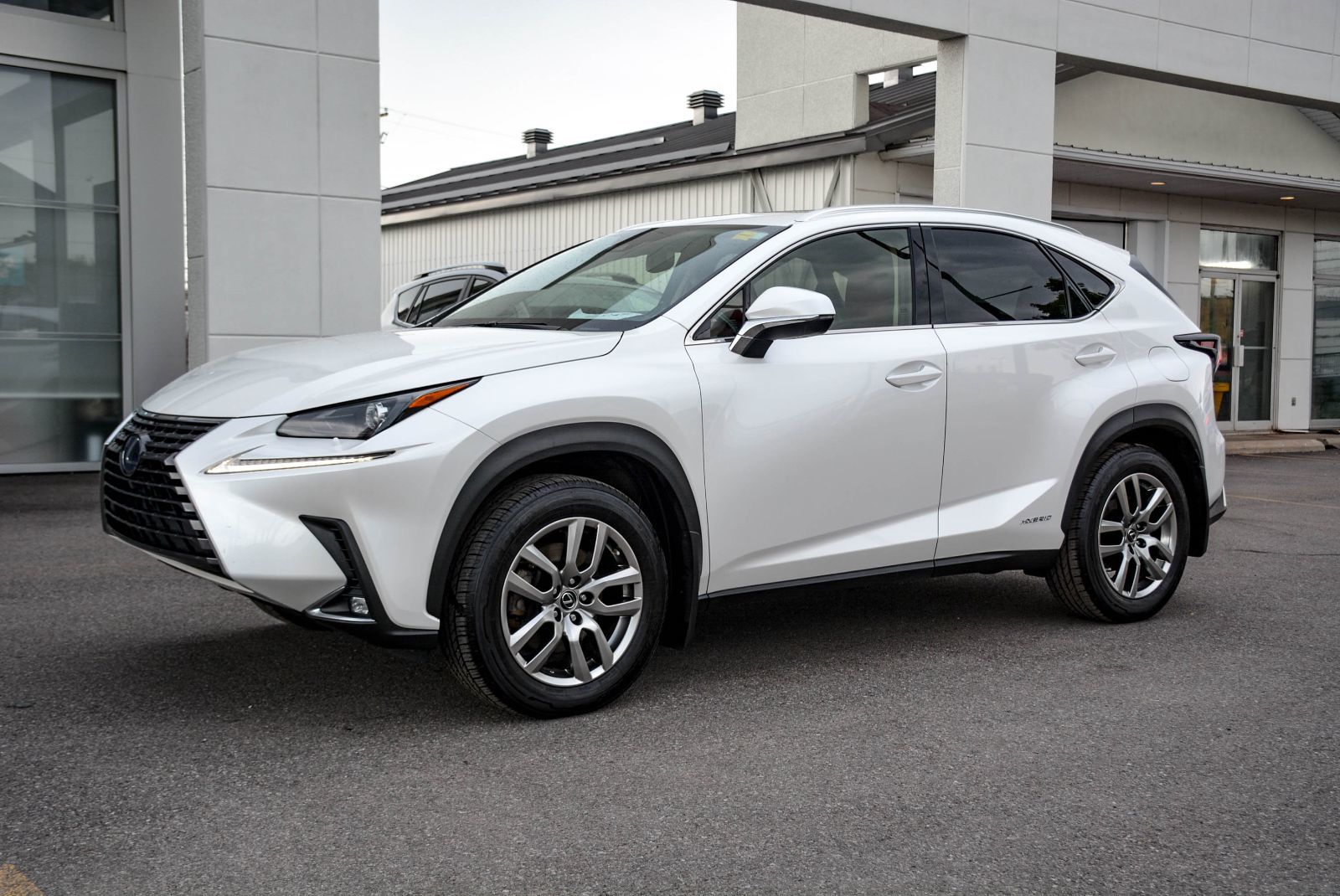 Lexus NX NX 300h 2021 — photo 2