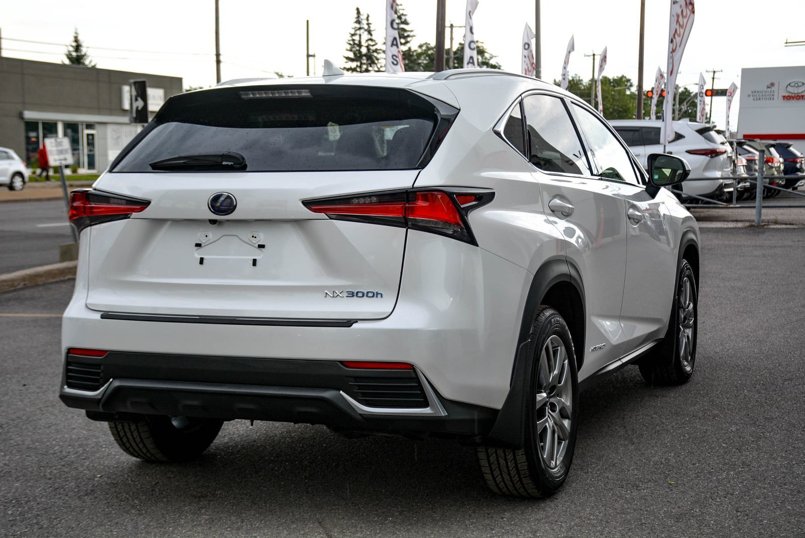 Lexus NX NX 300h 2021 — photo 7