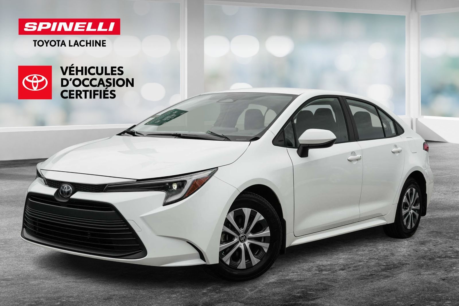 2025 Toyota Corolla