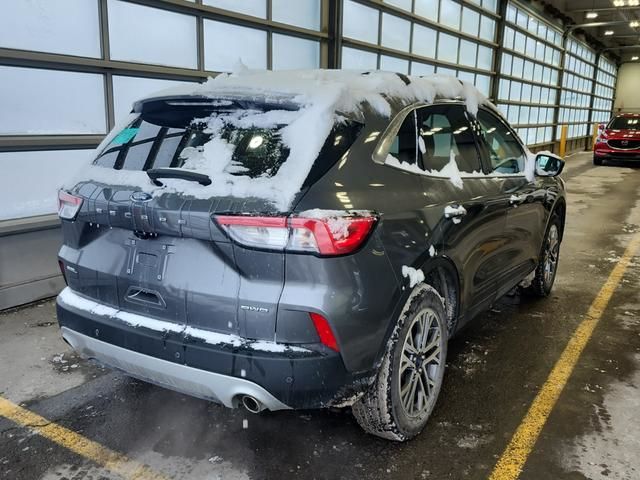 2022 Ford Escape in Regina, Saskatchewan