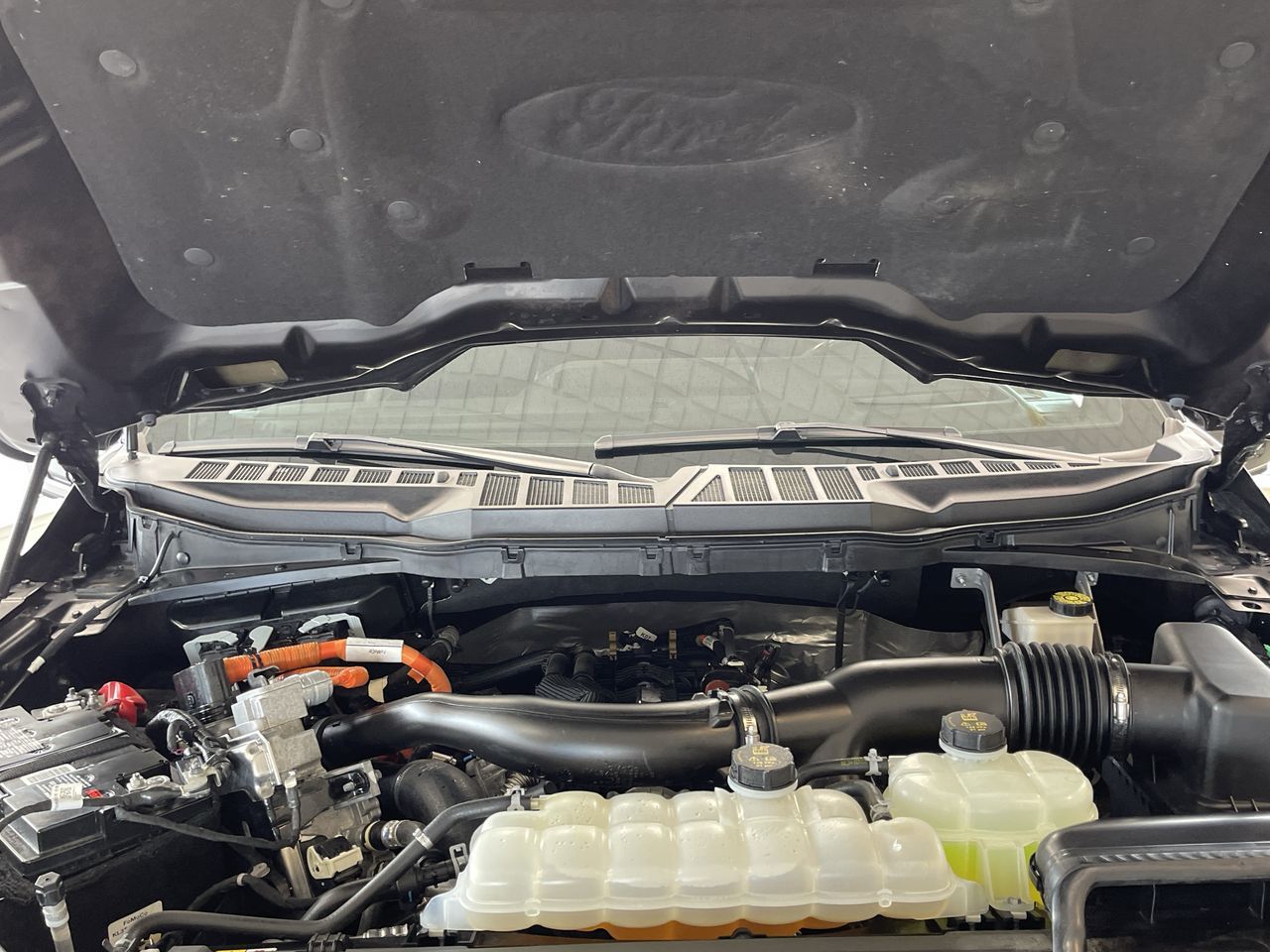 2024 Ford F-150 in Regina, Saskatchewan
