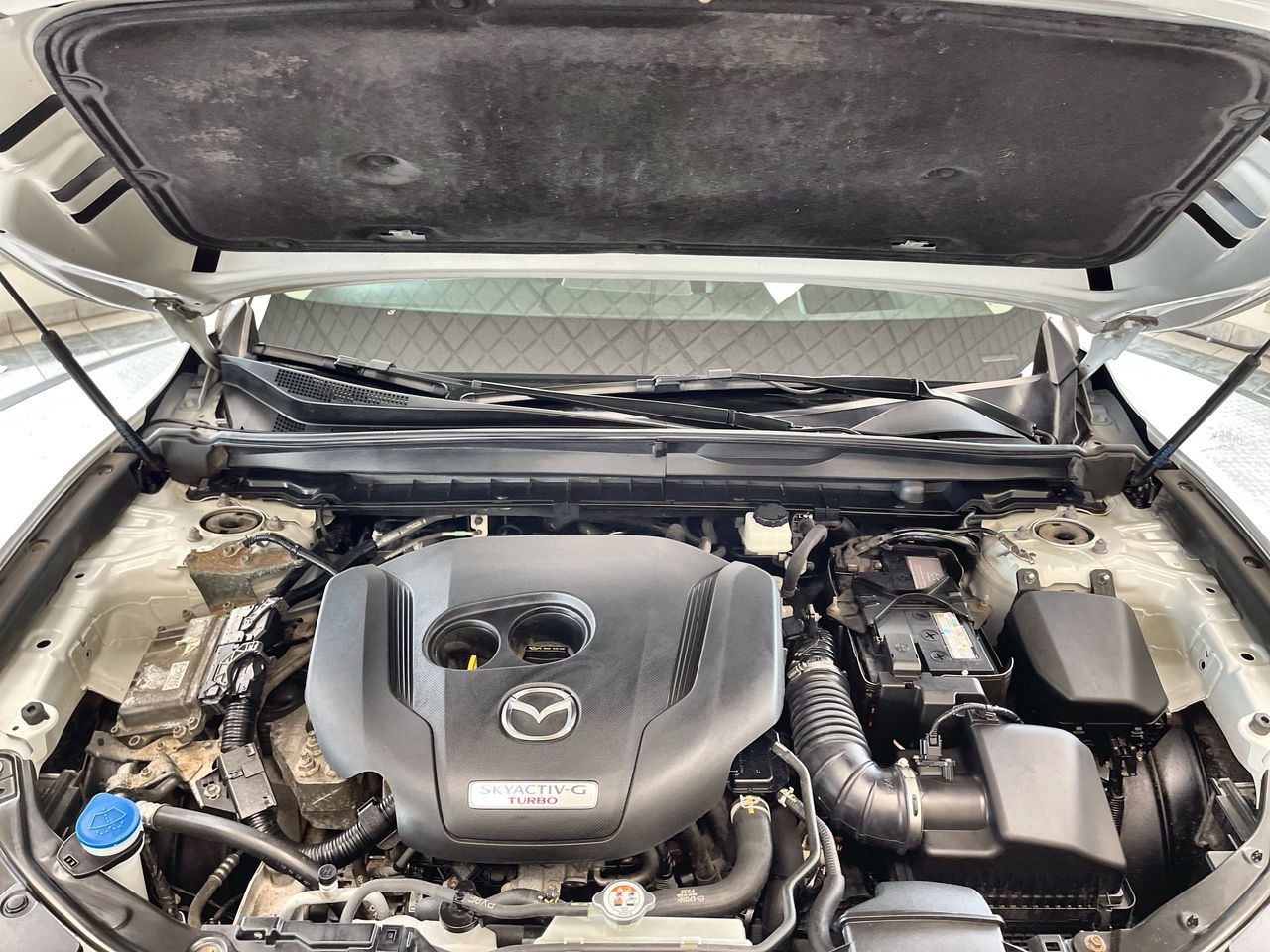 2024 Mazda CX-50