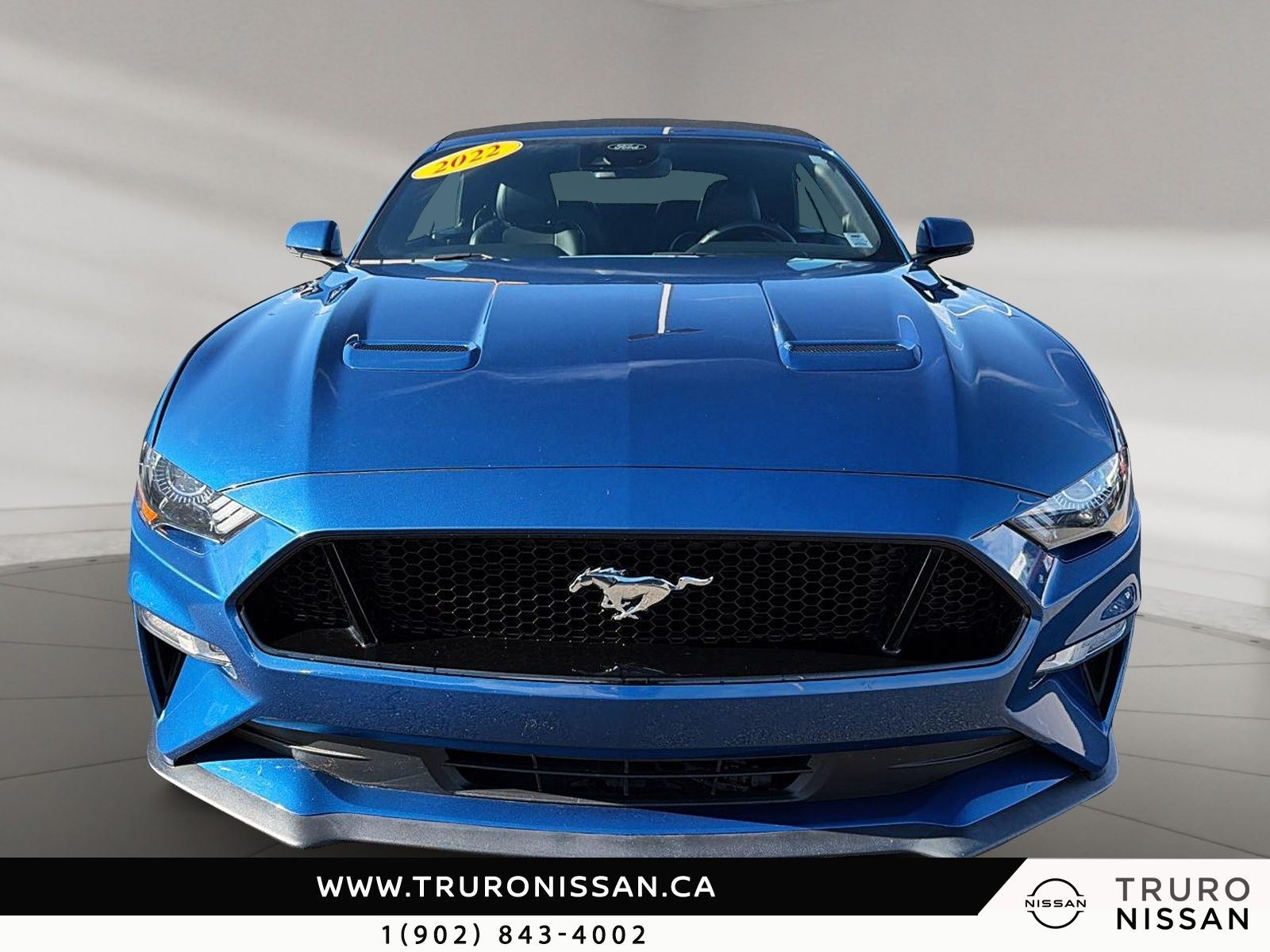 Photo 2022 Ford Mustang GT Premium #3