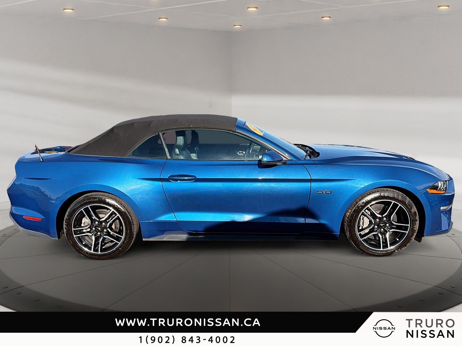 Photo 2022 Ford Mustang GT Premium #4