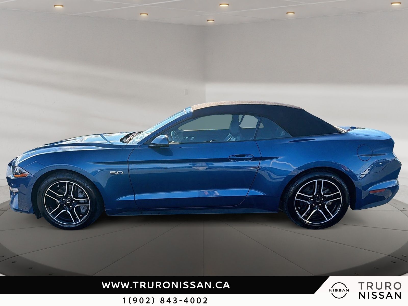 Photo 2022 Ford Mustang GT Premium #5
