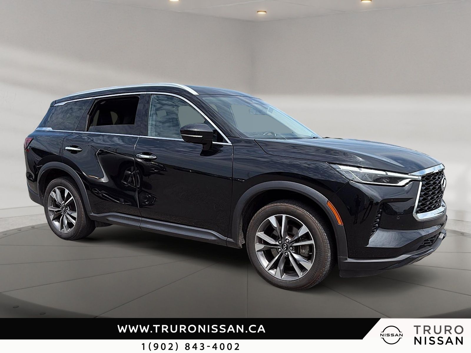 Photo Infiniti QX60 LUXE 2024 #2