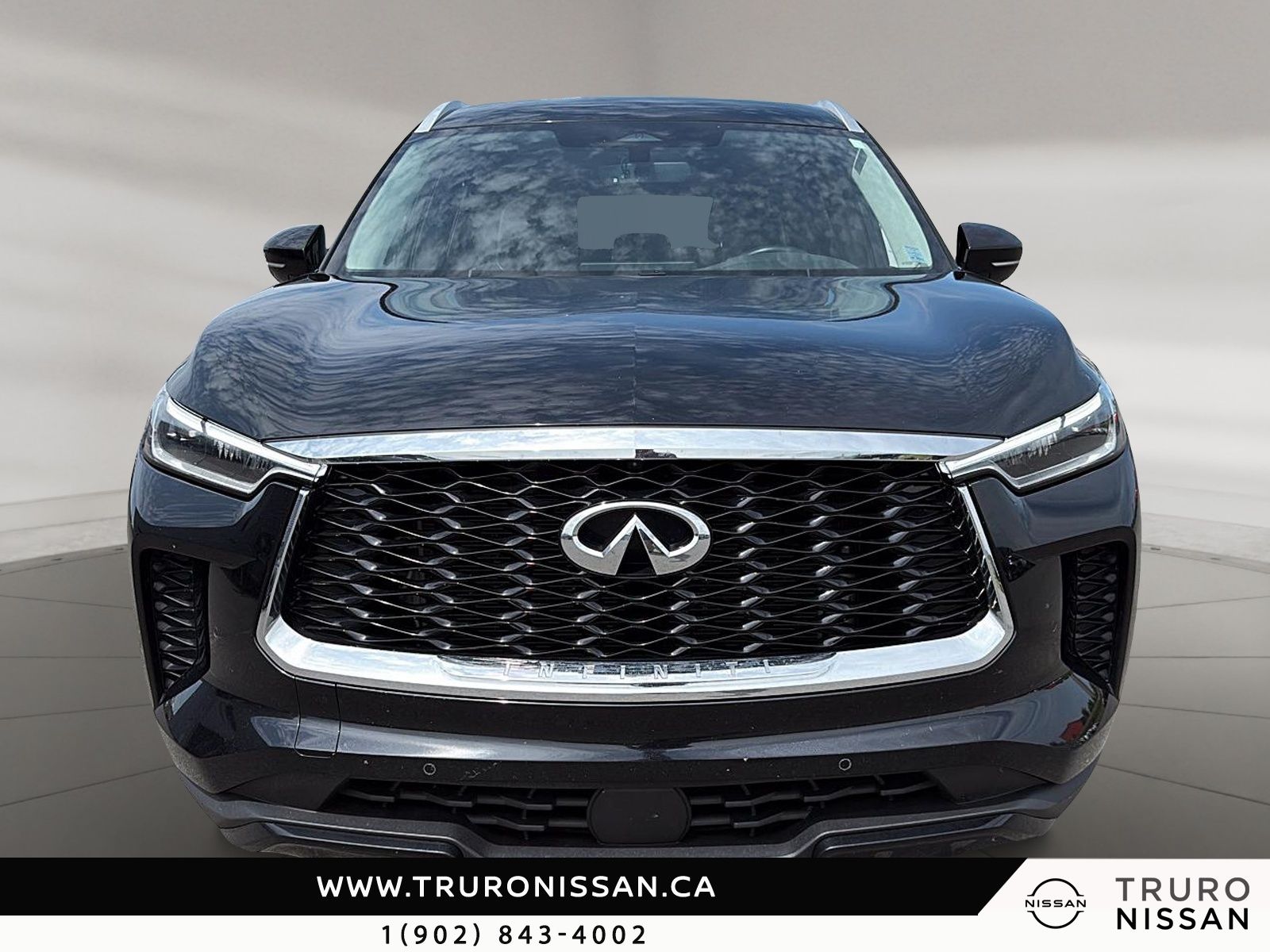 Photo Infiniti QX60 LUXE 2024 #3