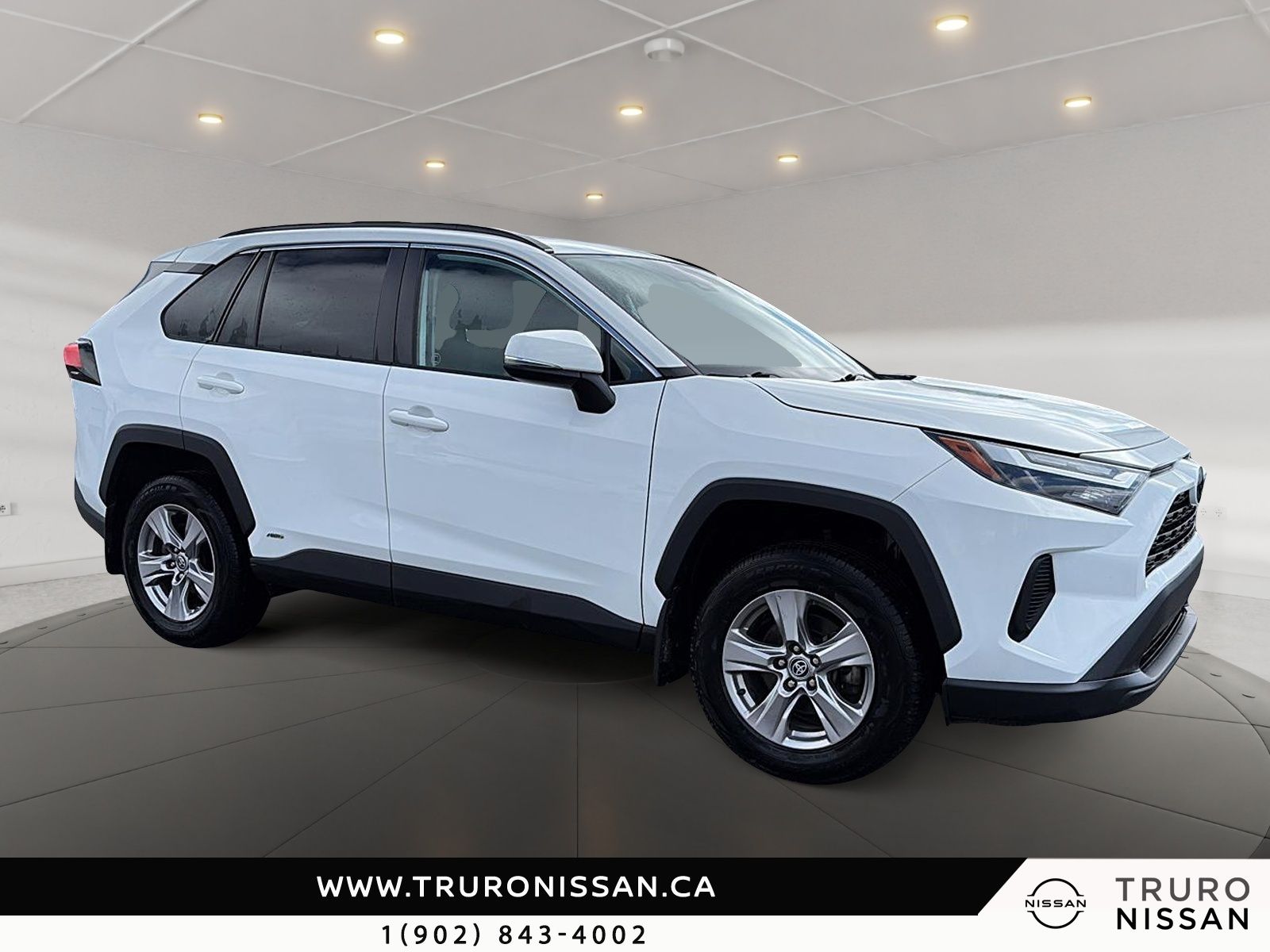 Photo Toyota RAV4 Hybrid XLE 2023 #2