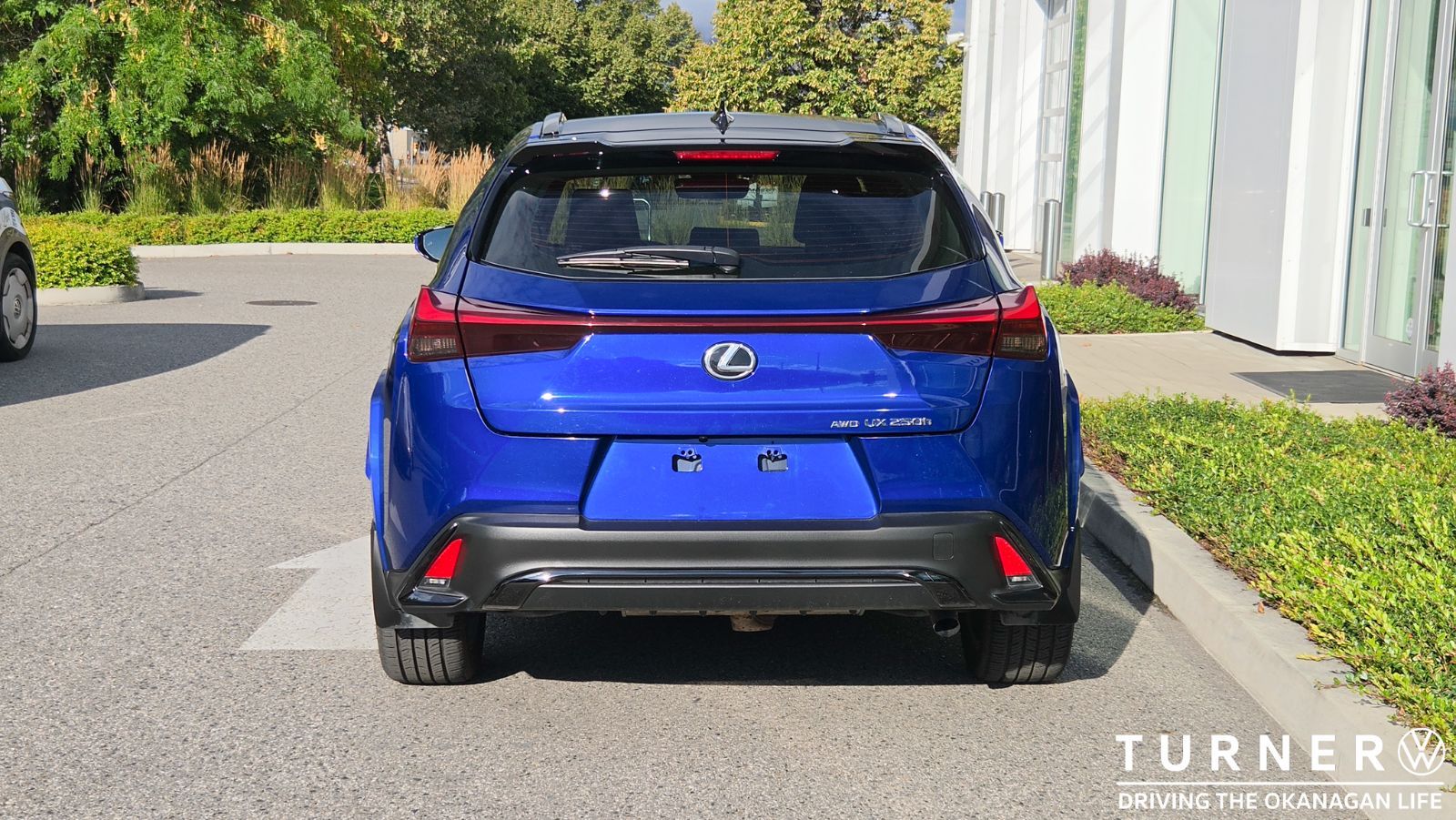 Photo 2023 Lexus UX UX 250h #6