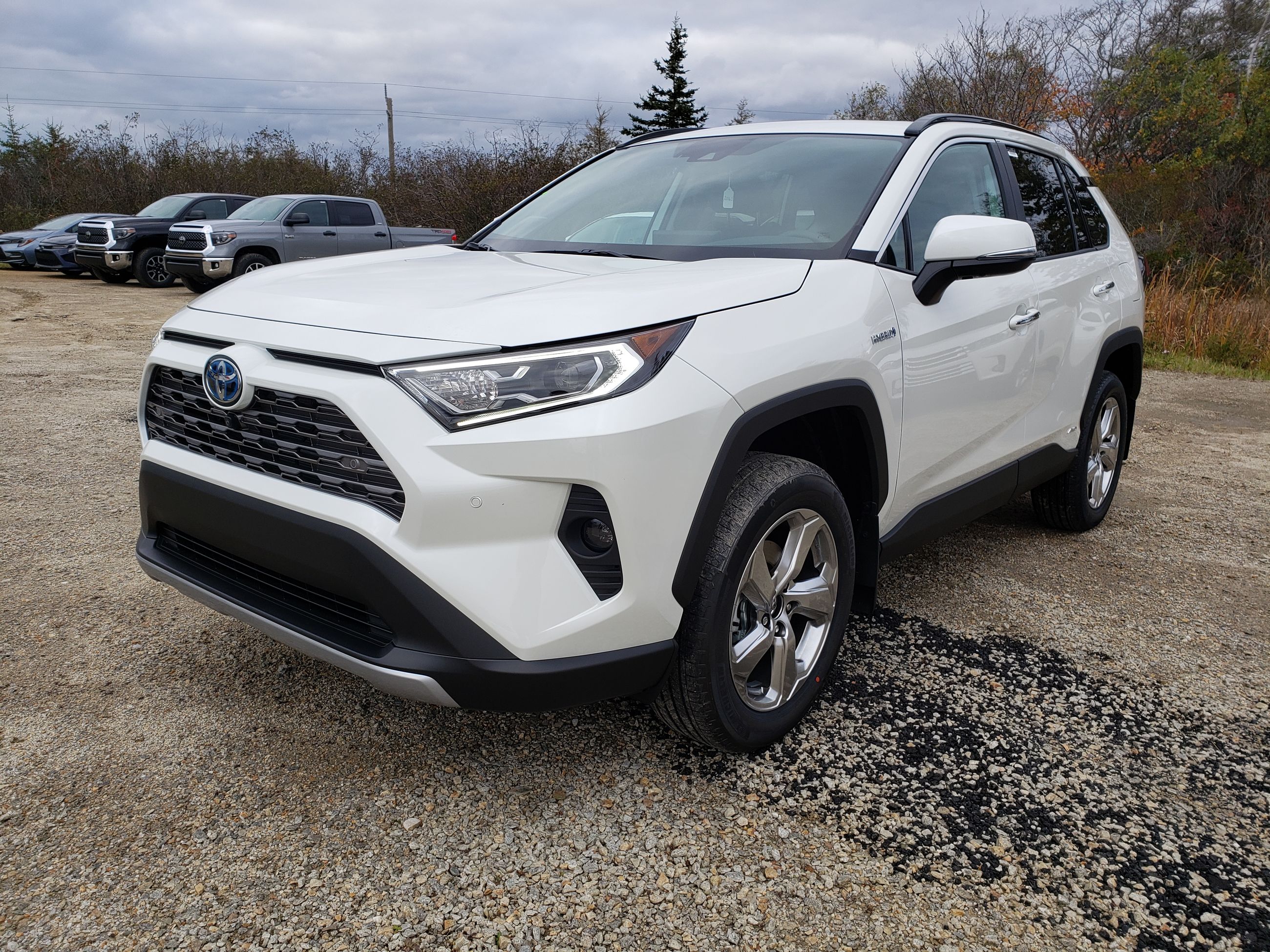 New 2020 Toyota RAV4 HYBRID LIMITED AWD Hybrid Limited for sale in ...